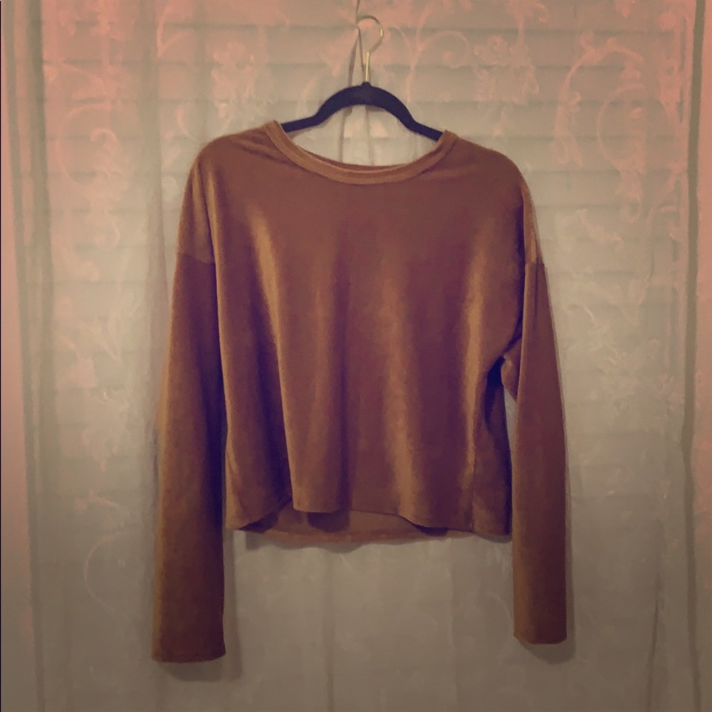 Velvety Golden brown crop top.